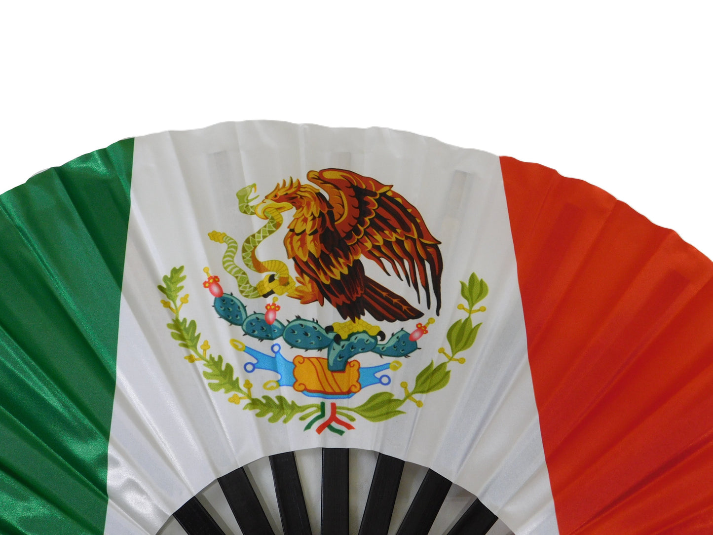 ¡Viva México!